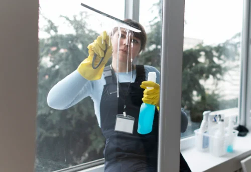 Nettoyage de vitres intérieures et extérieures à Longèves
